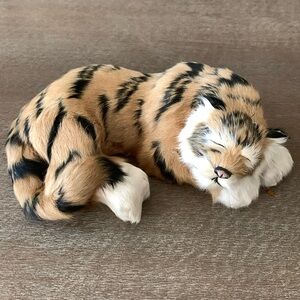 Sweet Sleeping Bengal Tiger